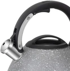 Resto Kitchenware Fluitketel Lyra - Zilver - 2.7 Liter -Keuken Do Verkoop 90605.4260403577325.ver06
